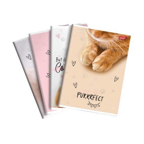 Zeszyt A5 PURRFECT MOMENTS 60k. 70g krata Unipap