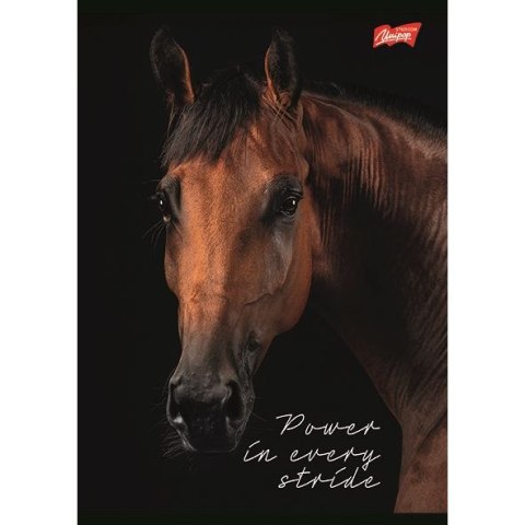 Zeszyt A5 Wild Heart 60k. 70g krata Unipap
