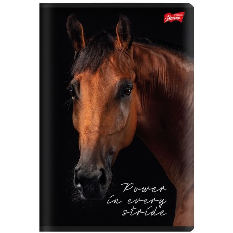 Zeszyt A5 Wild Heart 60k. 70g krata Unipap