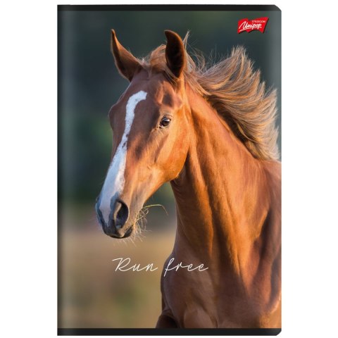 Zeszyt A5 Wild Heart 60k. 70g krata Unipap