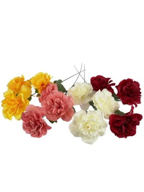 Kwiaty PEONIA MIX KOLORÓW Arpex (VC1007)