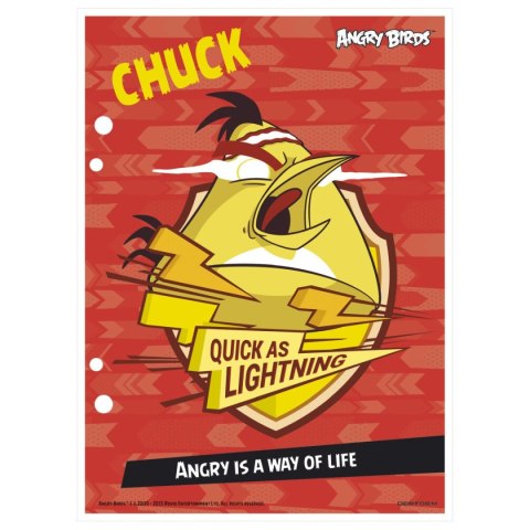 Wkład do segregatora Angry Birds A5 Derform (WA5AB)