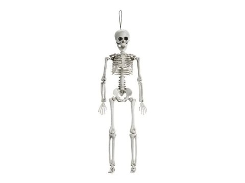Ozdoba halloweenowa Dekoracja Kościotrup, 40cm Partydeco (HDD5)