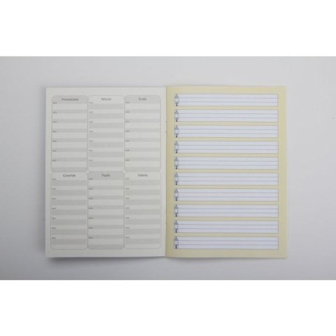 Zeszyt A5 do nauki pisania 1 16k. 70g linia [mm:] 145x208 Rexus (605428)
