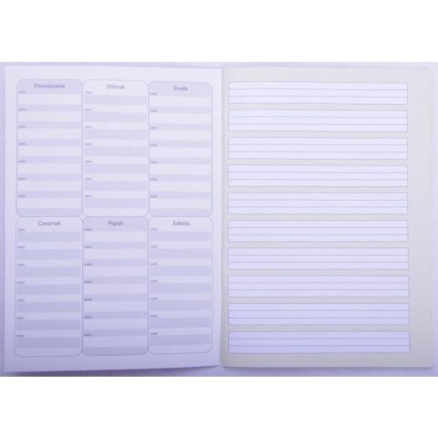 Zeszyt A5 do nauki pisania 12 16k. 70g linia [mm:] 145x208 Rexus (605429)