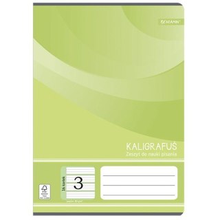 Zeszyt A5 do nauki pisania 3 16k. 70g mix [mm:] 145x208 Rexus (605430)
