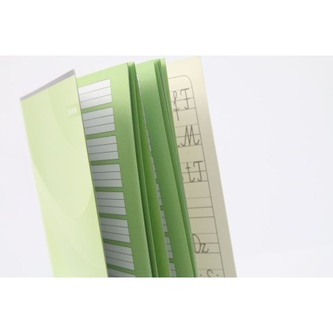 Zeszyt A5 do nauki pisania 3 16k. 70g mix [mm:] 145x208 Rexus (605430)