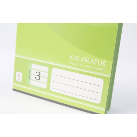 Zeszyt A5 do nauki pisania 3 16k. 70g mix [mm:] 145x208 Rexus (605430)